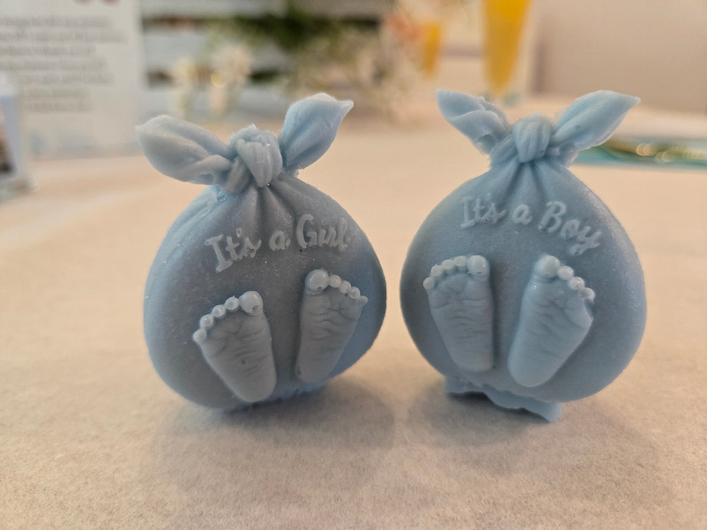 Gender Reveal Party Gift Bag