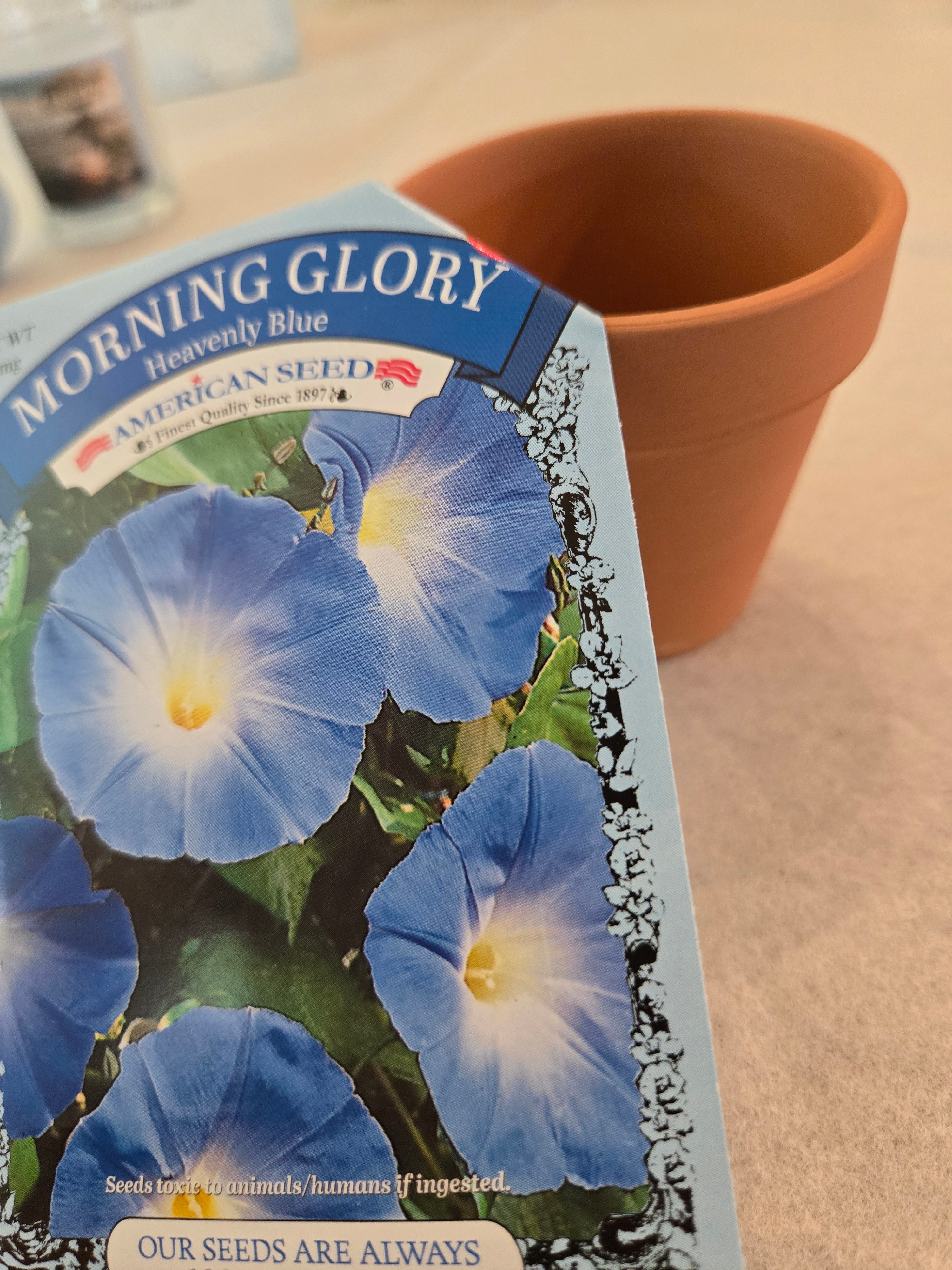 Gender Reveal Party Gift Bag