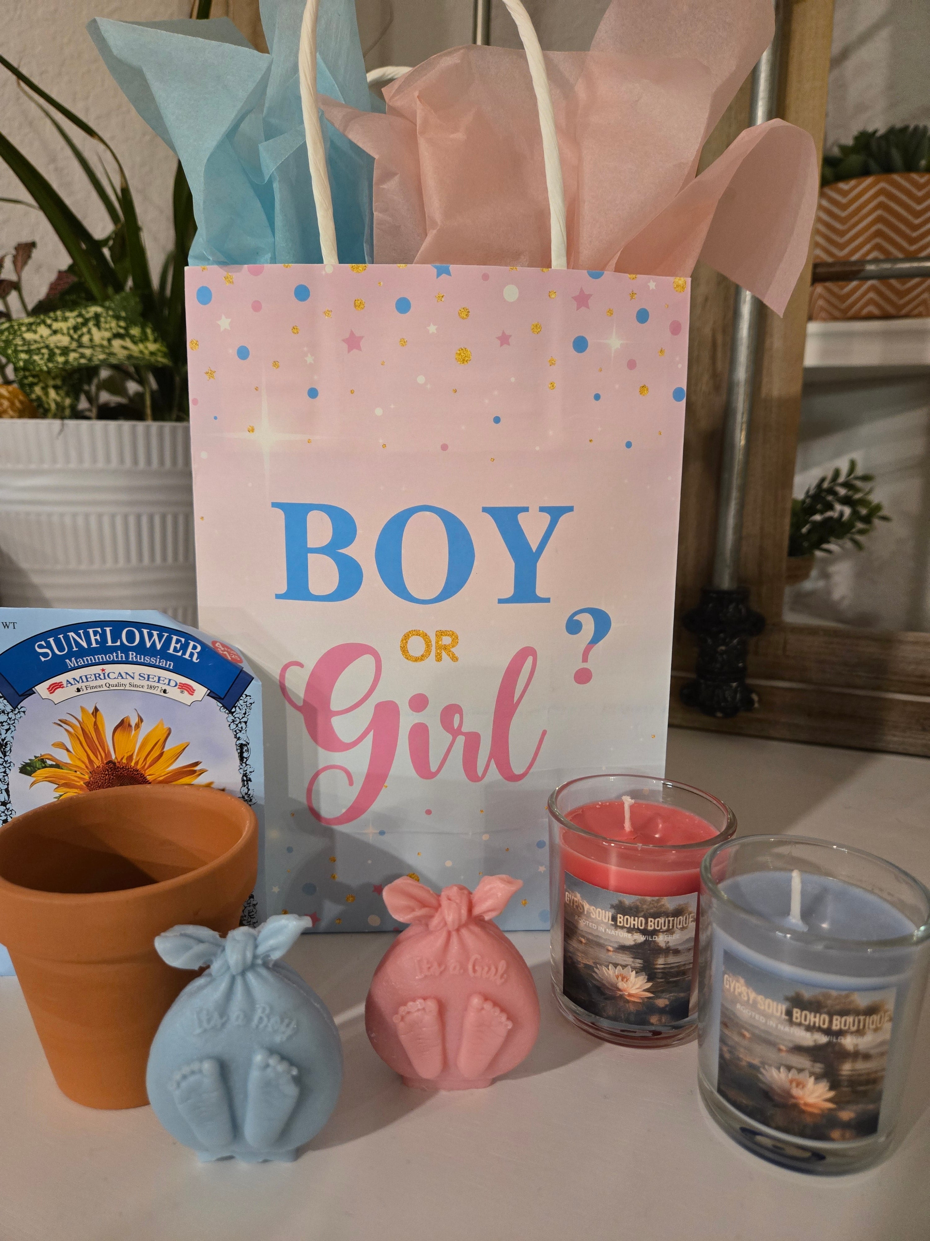 Gender Reveal Party Gift Bag