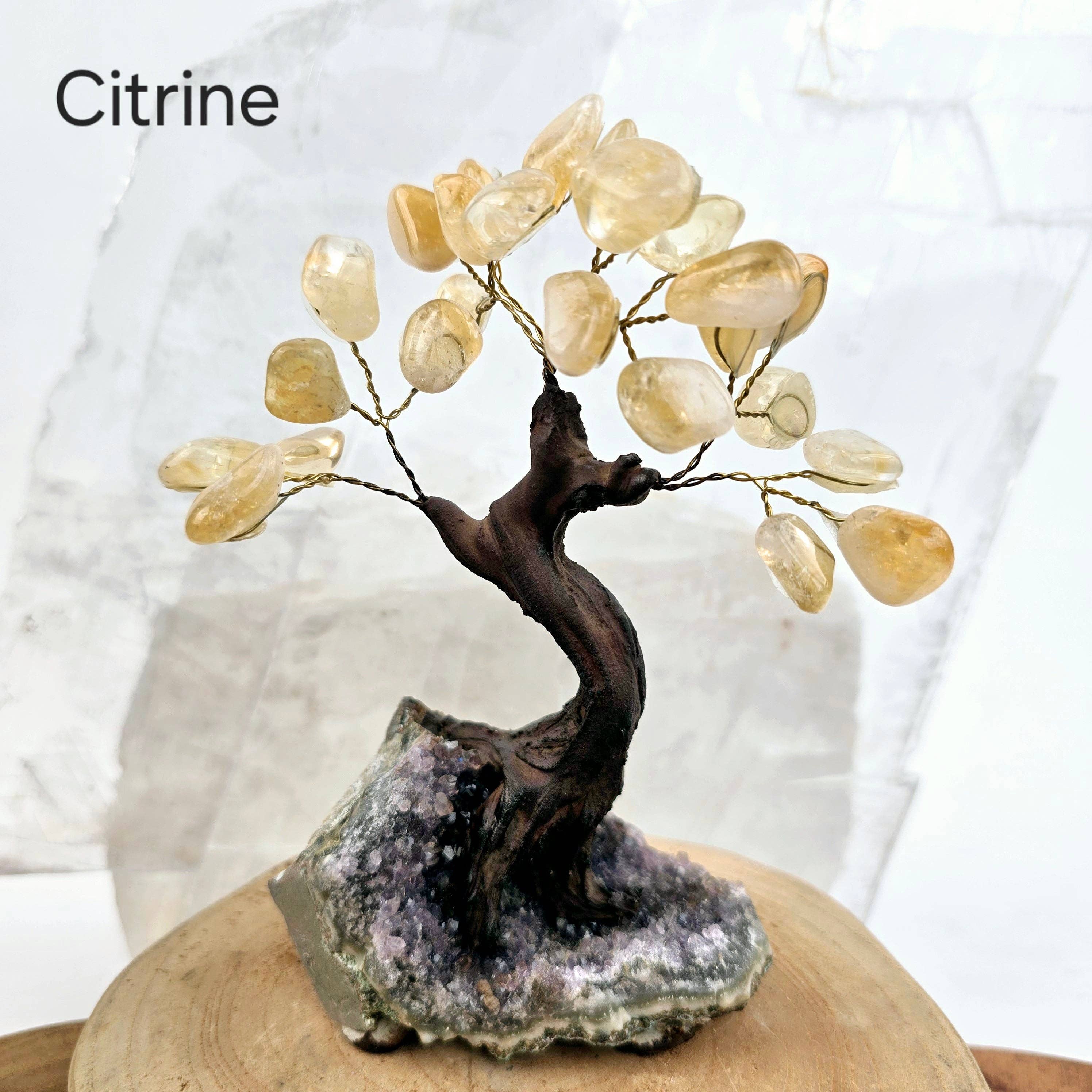 Tumbled Gemstone Tree with Amethyst Crystal Base