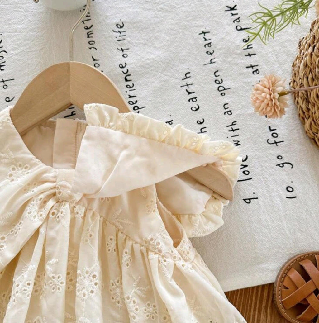 Vintage Southern Charm Baby Dress