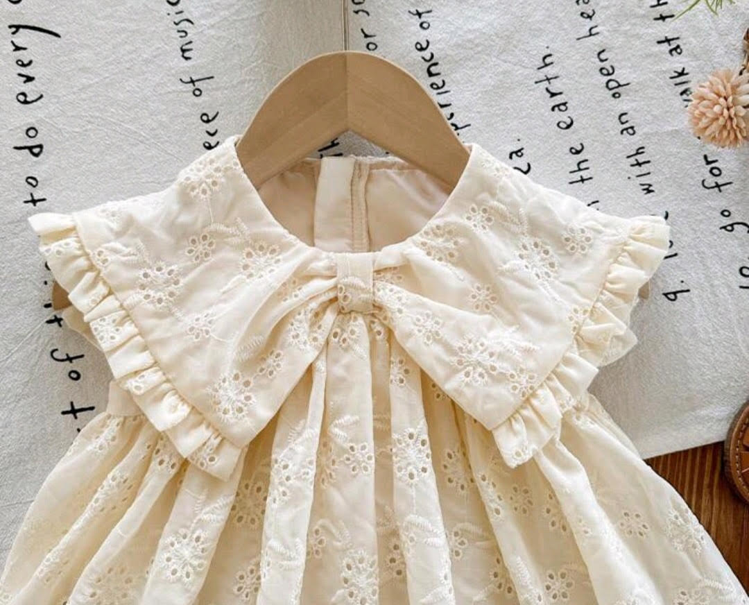 Vintage Southern Charm Baby Dress
