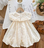 Vintage Southern Charm Baby Dress